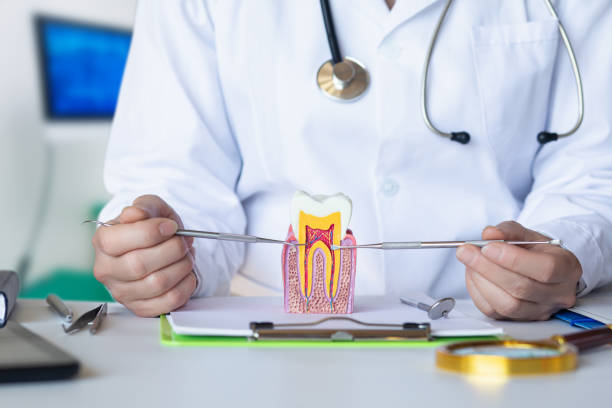 Best Pediatric Emergency Dentist in Carteret, NJ